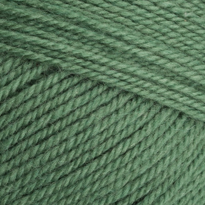 Stylecraft Special Aran with Wool 400g